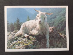 Szovjetunió CCCP Orosz kártyanaptár 1990