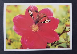 Szovjetunió CCCP Orosz kártyanaptár 1990