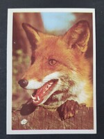 Szovjetunió CCCP Orosz kártyanaptár 1990