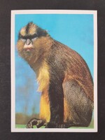 Szovjetunió CCCP Orosz kártyanaptár 1990