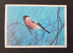 Szovjetunió CCCP Orosz kártyanaptár 1990