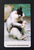Szeged ZOO majom koma kártyanaptár 1990