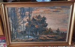 Podolyak Vilmos :70x50 cm kerettel tajkepe