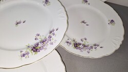 Szecessziós ibolya  mintás 6 darab nagy lapos tányér főfogáshoz