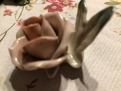 Ens porcelán rózsa