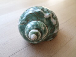 Jáde zöld márványos turbó csiga 75 x 82 x 62 mm 97g