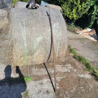 Extrém ritka 17-18, szd-i osztrák tiszti sponton (alabárd)