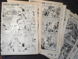 Retró Takács Zoltán képregény Lassie hazatér RITKA!