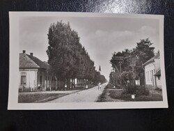 1956 Magyarbánhegyes Utcarészlet  Postatiszta