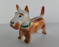 Aquincumi porcelán kutya