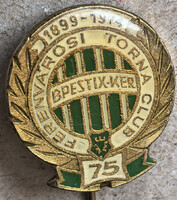 75 éves Fradi FTC Ferencvárosi Torna Club sport jelvény (F14)