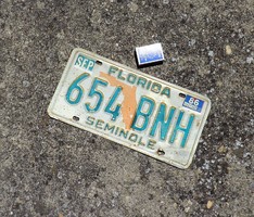 USA rendszám Florida.
