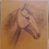 BOROS ATTILA: „Nemes tartás” – Nagyméretű, szignózott ló portré (2004)