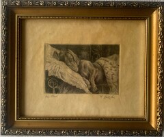 ZATZKA Franz /Hans/-Alvó Tacskó-rézkarc nyomat /Johann Franz ZATZKA1859-1945/