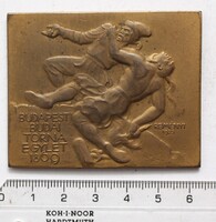 Dugonics Titusz - Budapesti Budai Torna Egylet bronz plakett 1923 - tervezte: Reményi József