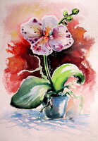 Kovács Anna Brigitta:Orchid-  watercolor painting -Orchidea
