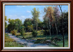 Keleti Péter: Sátaút - kerettel 50x70 cm - alkotás: 40x60cm - száma: 2605/137