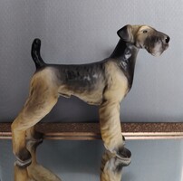Hollóházi porcelán NAGY foxterrier airedale kutya 16 cm hibátlan 4834
