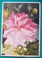 Grafikus virágos üdvözlő képeslap - Dália - postatiszta