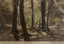 Edvi Illés Aladár: Erdőrészlet - színes rézkarc