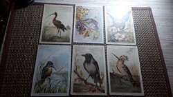 6db Antik Madaras reklám kártya.