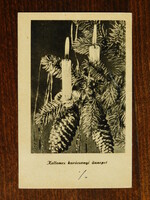 Karácsonyi képeslap - 810 - fenyő, toboz