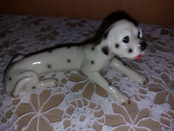Különleges kutya, dalmata figura