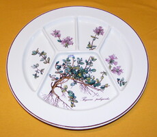 Villeroy & Boch Botanica Divided Porcelain Plate