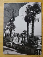 Régi Jugoszlávia, ma Horvátország, Opatija, Abbázia, pálmafa, kb.1960-as évek postatiszta