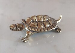 Miniatűr sárgaréz teknős