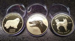 Próbaveret kutyák Komondor /Agár /Mudi UNC! (RRR) !!!