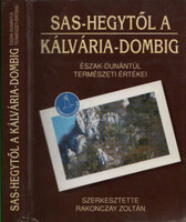 Rakonczay Zoltán: Sas-hegytől a Kálvária-dombig