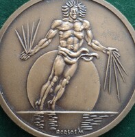 Borsos Miklós: Nemzetközi Élettani Tudományok Kongresszusa érem 1980
