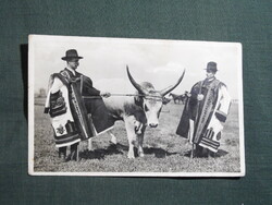 Képeslap,Hortobágy,Magyar Bika,pásztor,Sárai Bp. kiadás,1940-