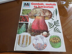 What are mushrooms, mosses and lichens, Tessloff and Babilon Publishing, 1994