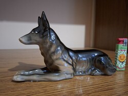 Cluj porcelain German Shepherd dog. Flawless. Marked