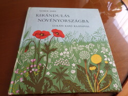 ANTIK! NÓBER IMRE KIRÁNDULÁS NÖVÉNYORSZÁGBA LUKÁTS KATÓ RAJZAIVAL, 1964