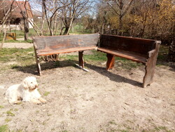 SAROKPAD 1901-ből (260324)