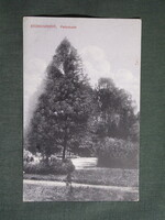 Képeslap,Szlovákia,Stubnyafürdő,Turčianske Teplice,park látkép,részlet,Kohn Edéné kiadás,1910-