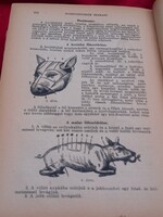 Antik ikonikus Monarchiás szakácskönyv 1921-ből, Szegedi szakácskönyv Doletsko Teréz Szakácskönyve