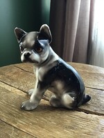 Régi majolika Boston terrier kutya figura