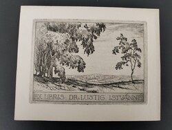 Adolf Kunst	 Ex libris Dr. Lustig Istvánné, kisgrafika, rézkarc