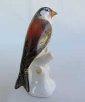 Aquincumi porcelán madár stiglinc tengelic