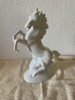 Carl Scheidig Gräfenthal Prancing White Horse!