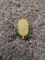 Zománcozott kitűző. Licencia danubia 25 év.