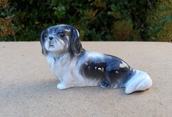 Régi cuki Drasche porcelán kutya