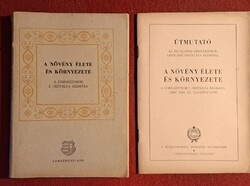 Dr. Hortobágyi Tibor - A növény élete és környezete - A gimnáziumok I. osztálya számára