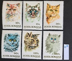 Románia 1993 - Házimacskák teljes bélyegsor (6 db) - Postatiszta MNH