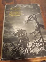 Hevesy Iván A magyar fotóművészet története