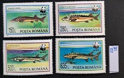 Románia 1994 - Védett dunai tokfélék (WWF halak) teljes sorozat, postatiszta (MNH)